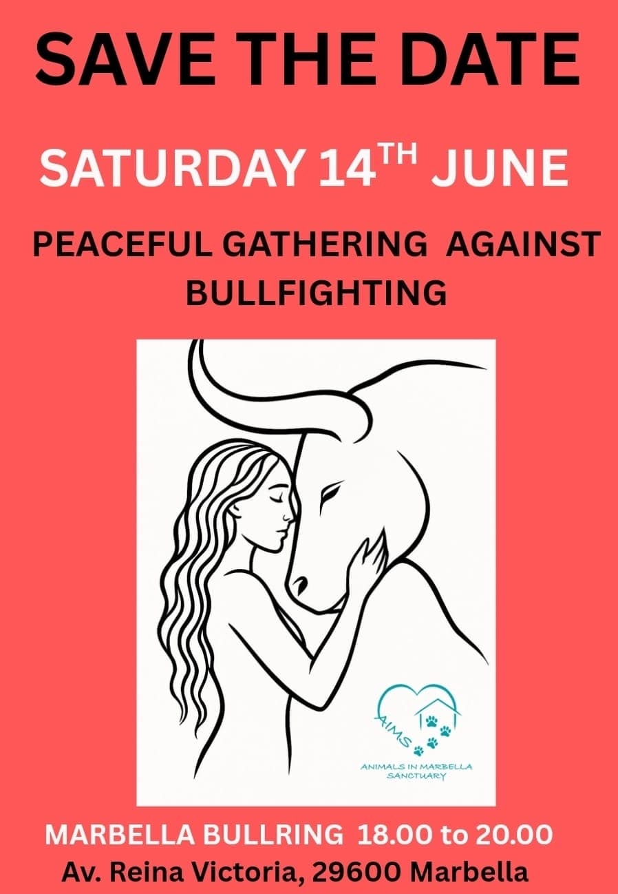 Peaceful Gathering Against Bullfighting