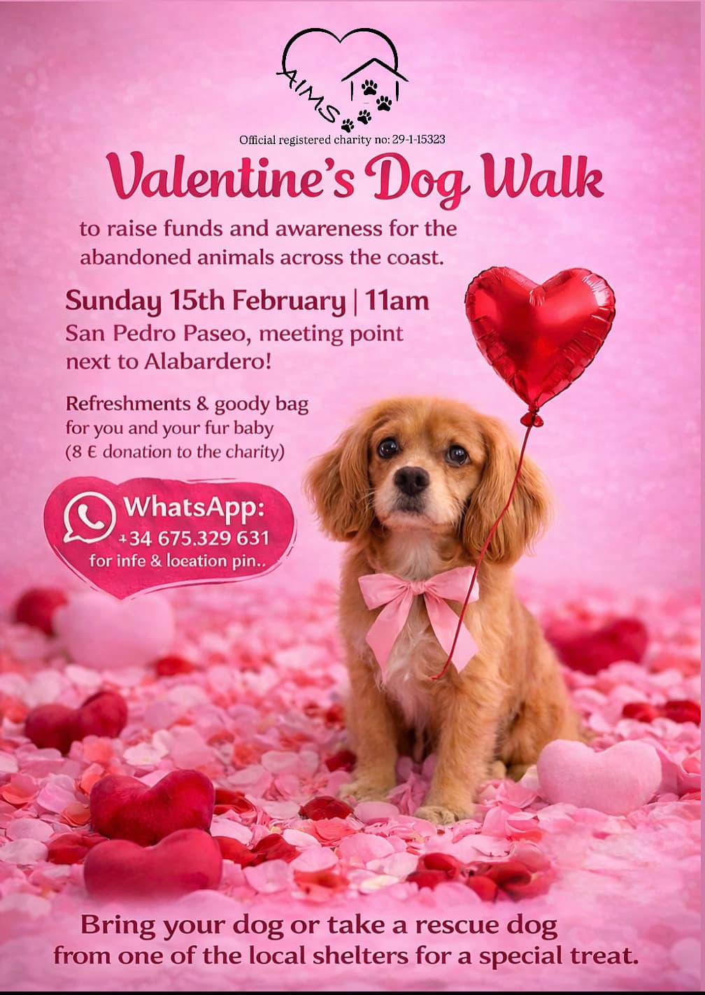 AIMS Valentines Dog Walk 2026