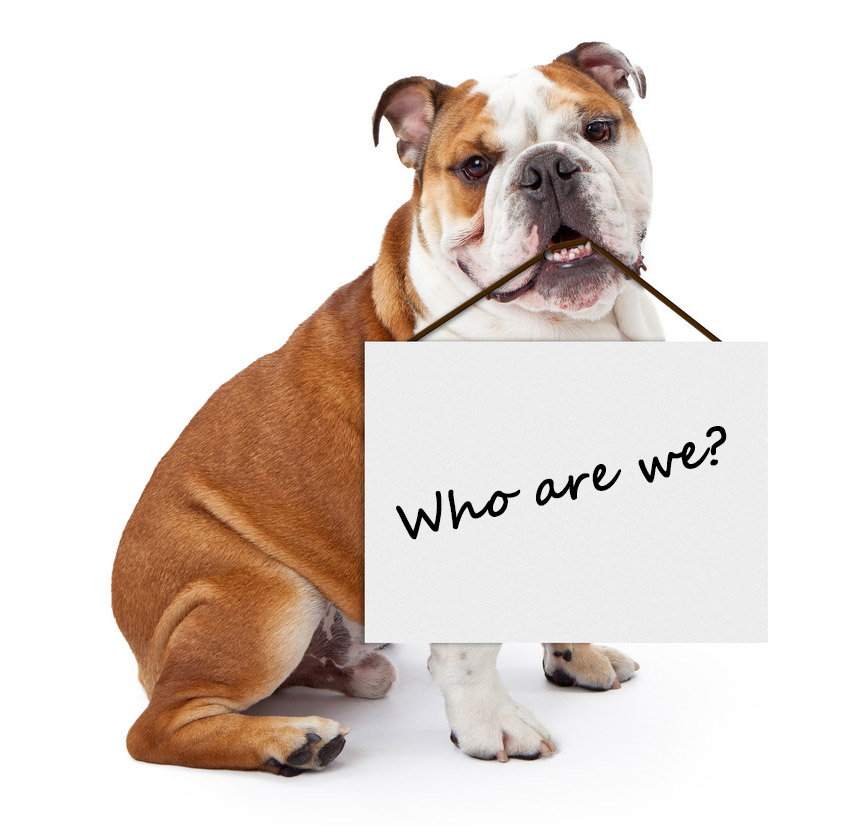 Who are we?